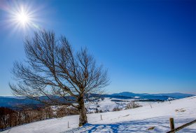 Phoca Thumb M Winter Im Schwarzwald 2368 2023 1400px